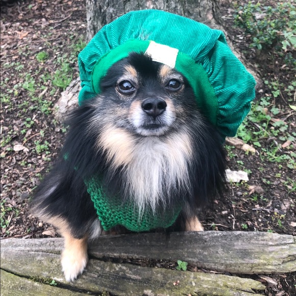 Meet your Posher, Donna - Picture 4 of 7